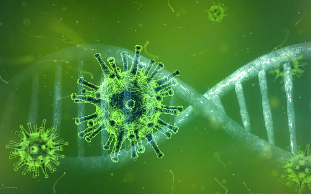 Das Coronavirus Corona als Darstellung (grün) im Vordergrund das Virus im Hintergrund ein DNA-Strang Das Coronavirus Corona als Darstellung (grün) im Vordergrund das Virus im Hintergrund ein DNA-Strang